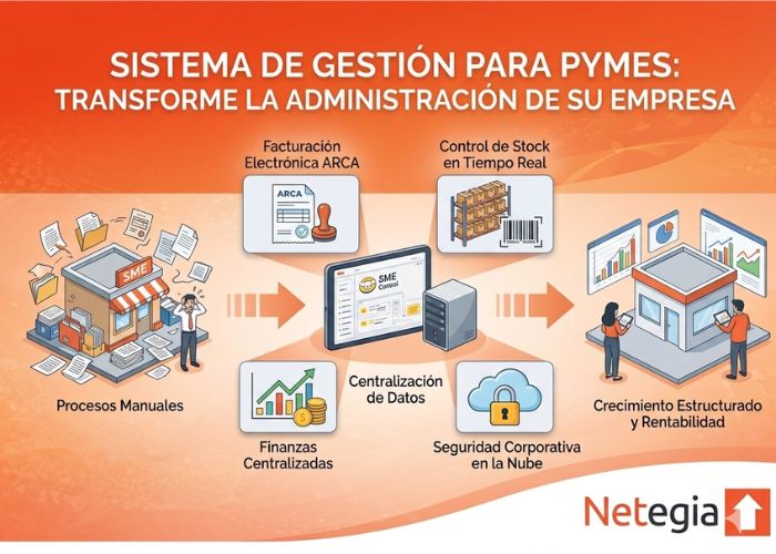 Sistema de Gestión para Pymes: Transforme la administración de su empresa