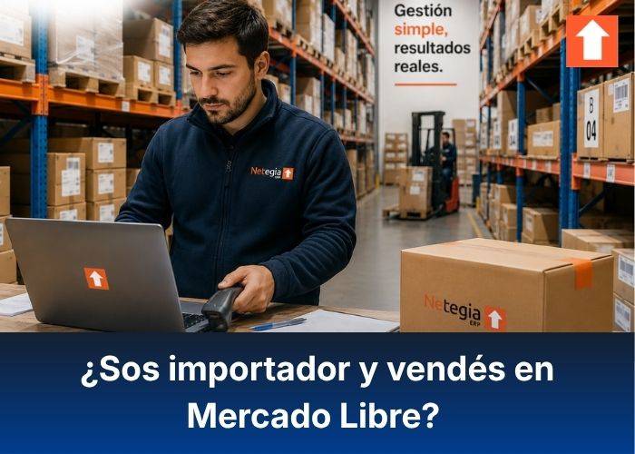 ¿Sos importador y vendés en Mercado Libre? Gestioná todo con Netegia ERP