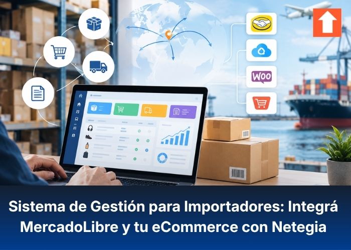 Sistema de Gestión para Importadores: Integrá MercadoLibre y tu eCommerce con Netegia